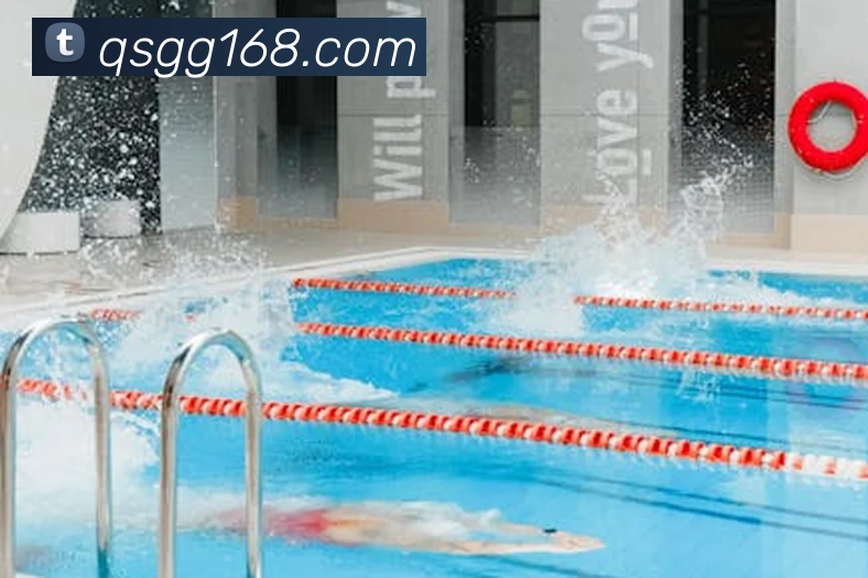 开云手机入口官网全站App